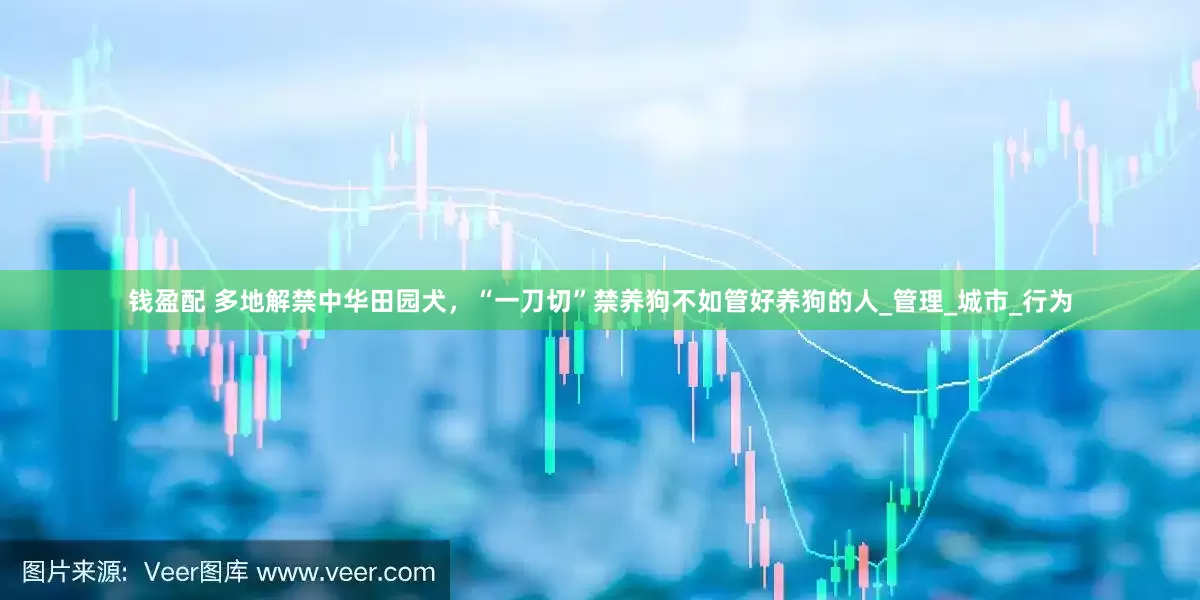 钱盈配 多地解禁中华田园犬，“一刀切”禁养狗不如管好养狗的人_管理_城市_行为